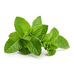 capsaicin_ea5f6dd8-f755-4f7c-ab1b-029f8efdbe75__PID:7fe206a5-32da-457d-951a-8b9c02cc794f