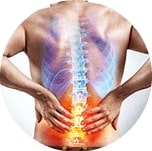 muscle__PID:5ab141a6-c4a0-446d-bc90-f6fa4107045b